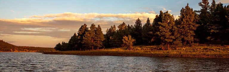 A lake and forest in Flagstaff, AZ