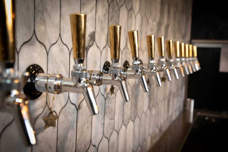 Dark Sky Brewing Company