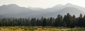 San Francisco Peaks in mist with meadow and forest in the foreground